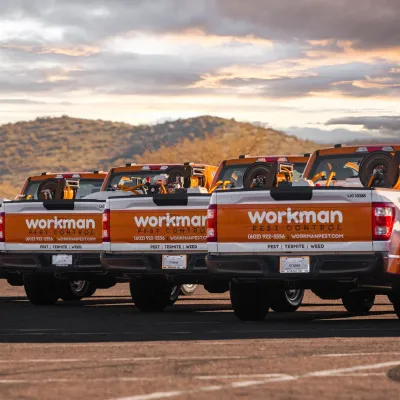 the back of the workman pest control trucks