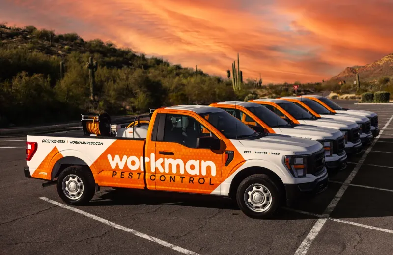 workman pest control trucks at sunset